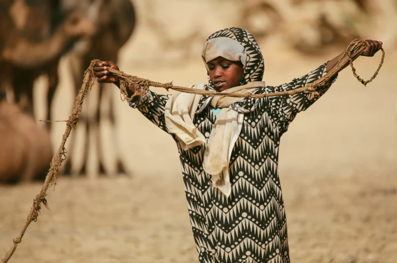 A young girl handling ropes in the heart of the Chadian desert, preparing camels for the journey through the sand