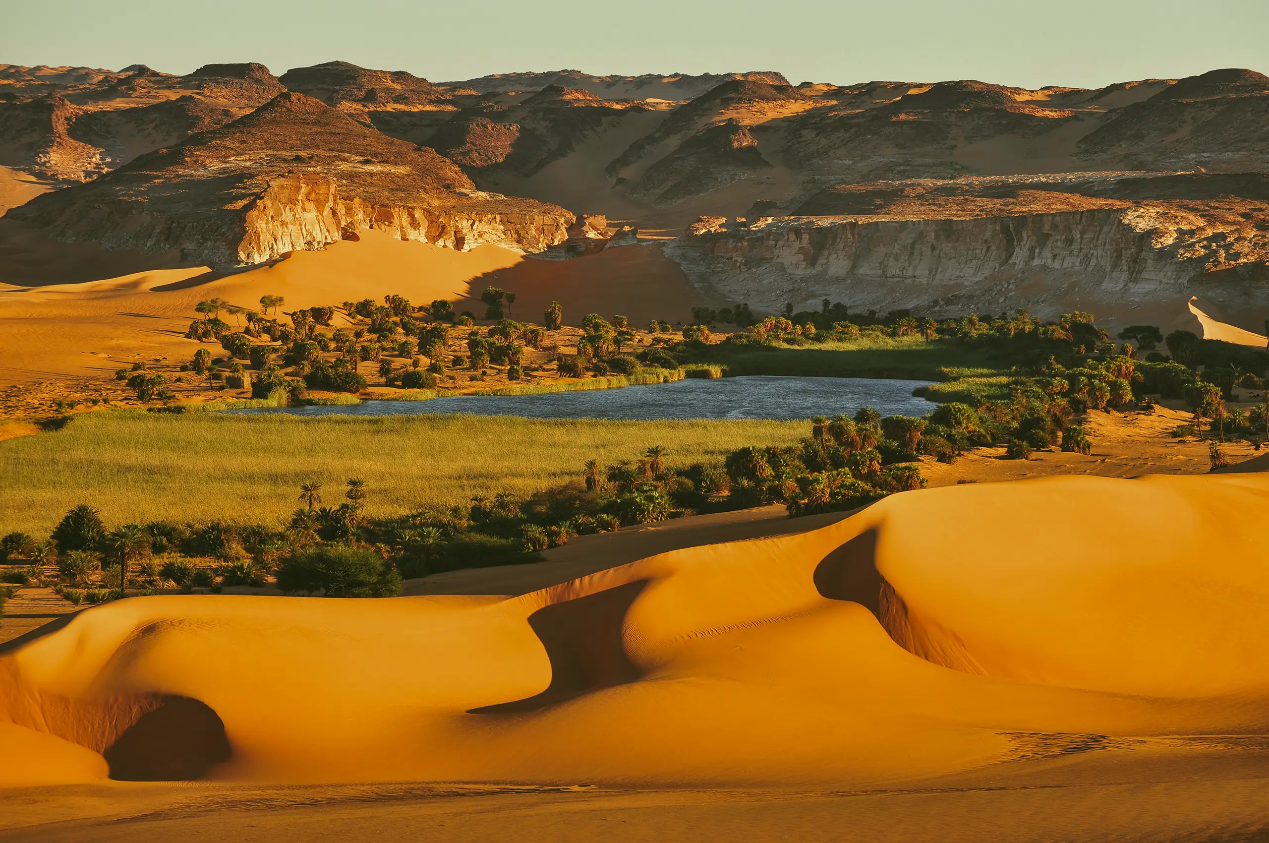 Un oasis verdoyant au cœur du désert de l'Ennedi, avec des dunes dorées et un lac rafraîchissant.