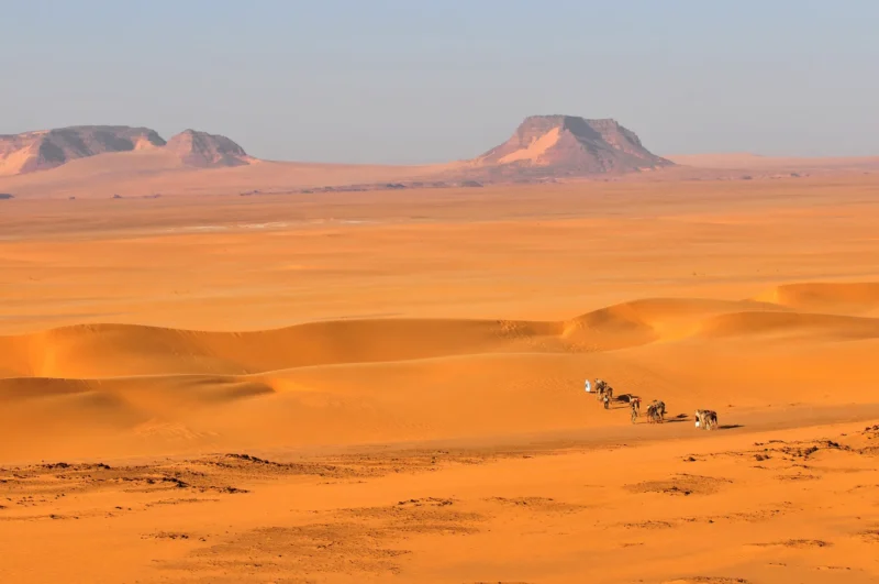 Des voyageurs à pied explorent les paysages spectaculaires de l'Ennedi, tandis que des chameaux transportent l'équipement à travers les vastes dunes et montagnes.