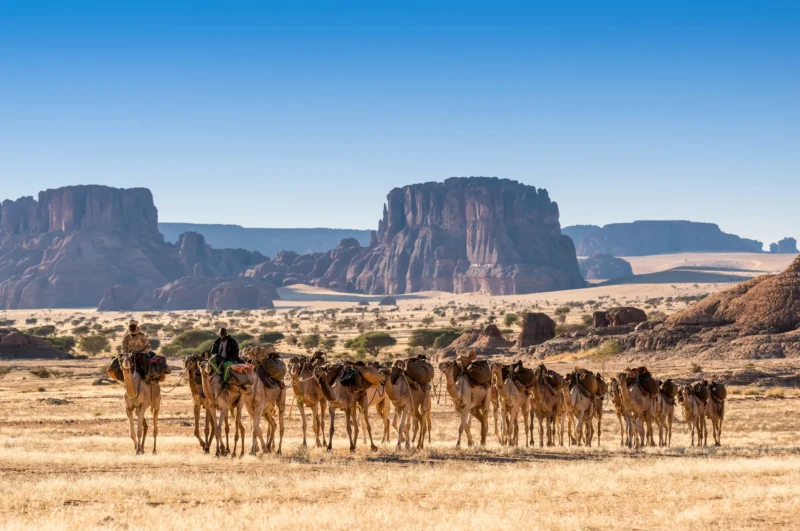 The spectacular landscapes of Ennedi, while camels carry equipment through the vast dunes and mountains. Trips to Chad