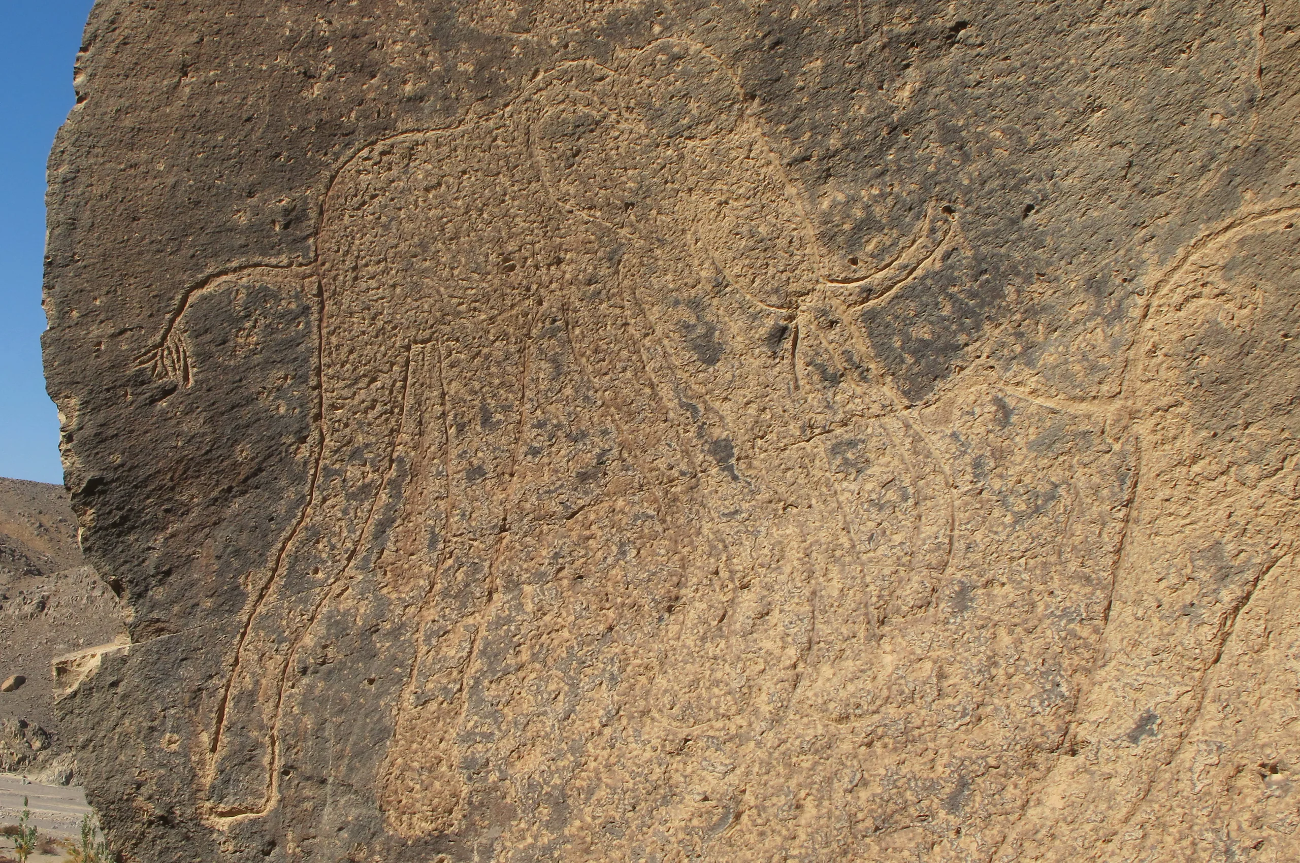 Carving of an elephant silhouette on a rock face in Tibesti, depicting the prehistoric fauna of this Saharan region.