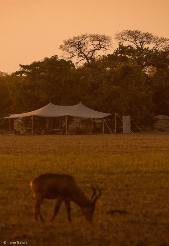 Tentes luxueuses au Camp Nomade, offrant une expérience unique au cœur de la nature - SVS Tchad