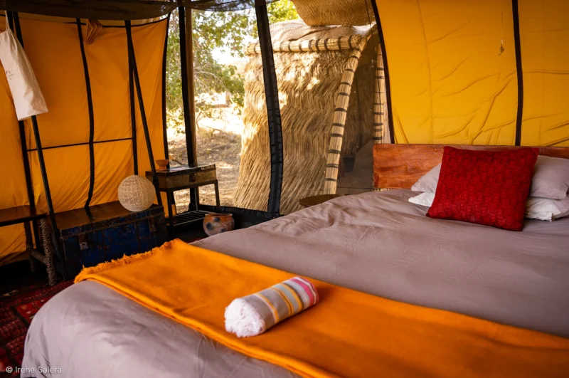 Tentes luxueuses au Camp Nomade, offrant une expérience unique au cœur de la nature.