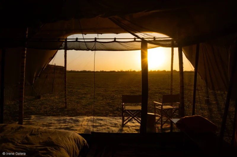 Vue depuis les tentes du Camp Nomade sur la savane du Parc National de Zakouma.