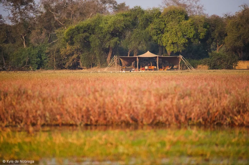 Hébergement de luxe et immersion totale dans la faune du Parc National de Zakouma - SVS Tchad - ph: Kyle de Nobrega