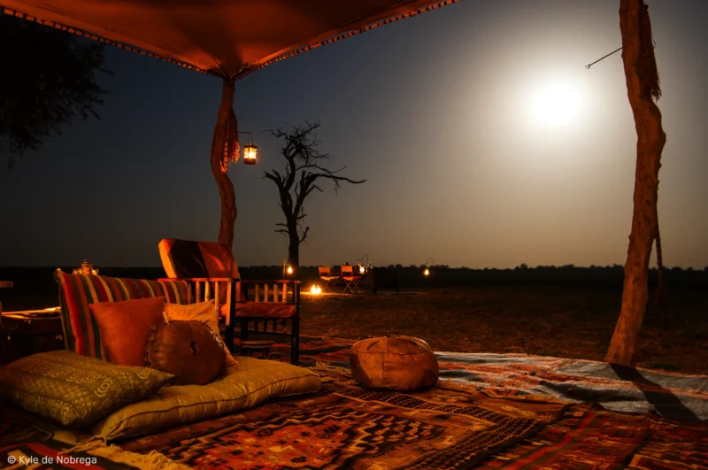 Safari de luxe au Parc National de Zakouma