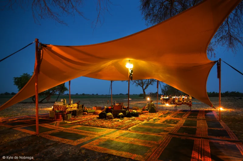 Safari de luxe au Parc National de Zakouma