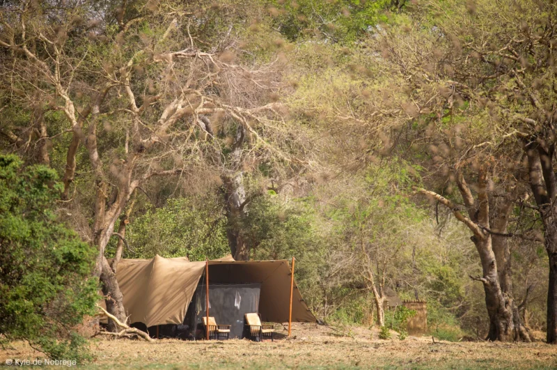 Tentes luxueuses au Camp Nomade, offrant une expérience unique au cœur de la nature.