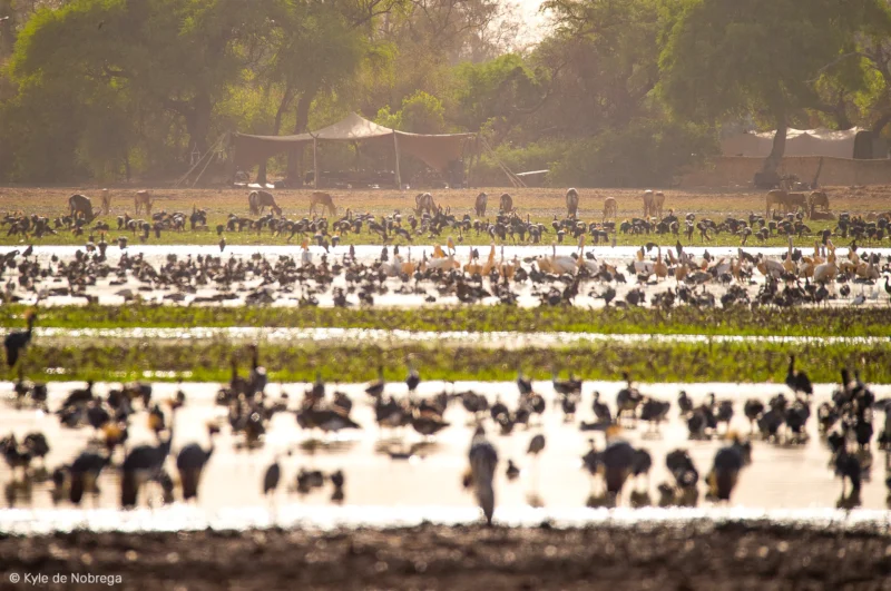 Expérience immersive au Camp Nomade