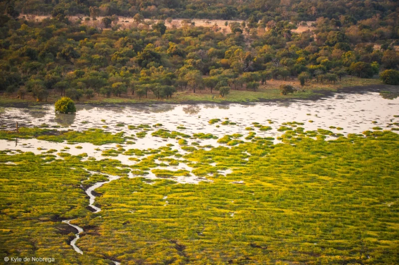 Safari en 4x4 dans le Parc National de Zakouma, accompagnés de guides experts. Camp Nomade - SVS Tchad