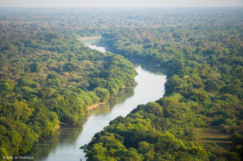 Vue aérienne du parc national de Zakouma, un havre de biodiversité.