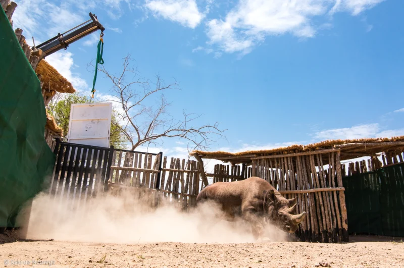 Expérience immersive au Camp Nomade