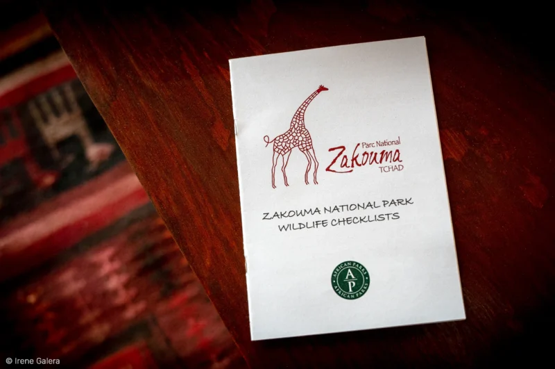 Camp Nomade - Zakouma National Park - Chad - SVS Tchad - Irene Galera