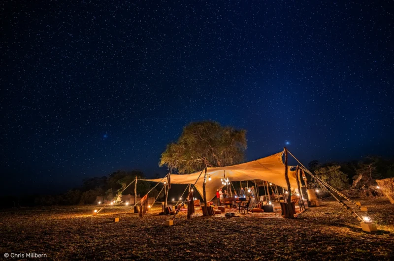 Explorez l'un des derniers paradis préservés - Camp Nomade - Parc National de Zakouma - ph: Chris Millbern
