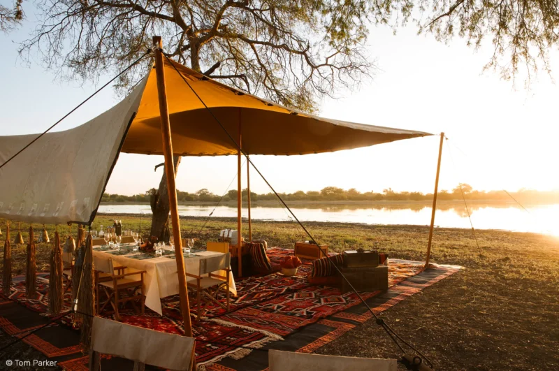Vue depuis les tentes du Camp Nomade sur la savane du Parc National de Zakouma - SVS Tchad - ph: Tom Parker