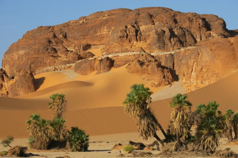 The spectacular dunes of the Erg Djourab, a unique landscape in the Chadian Sahara - SVS Tchad