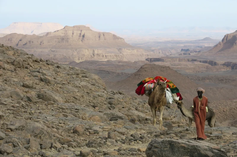 Explore the Tibesti Massif and climb Emi Koussi, an adventure among breathtaking landscapes and authentic encounters.