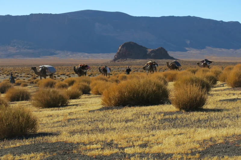 Hiking adventure through spectacular landscapes - SVS Tchad