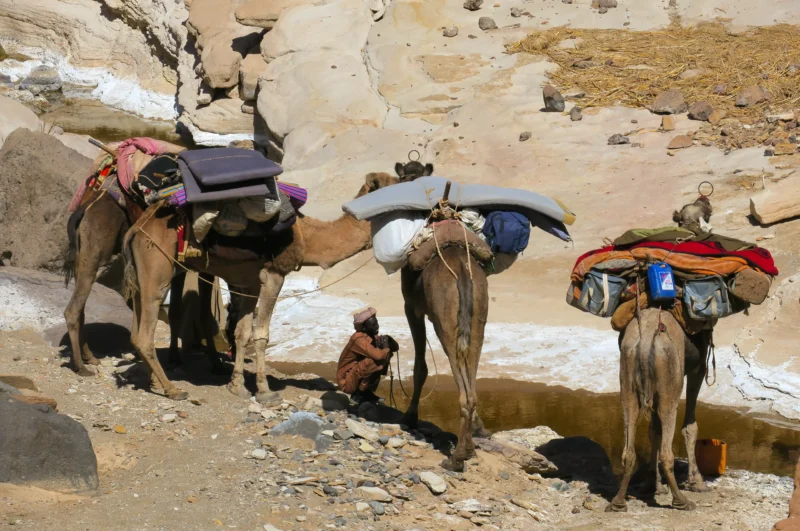 Climbing Emi Koussi, summit of the Sahara - SVS Tchad