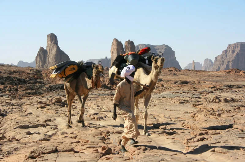Emi Koussi - Camalier hikes - Trips to Chad with SVS Chad