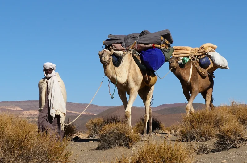 Emi Koussi - The Summit of the Sahara - Camel treks - SVS Chad