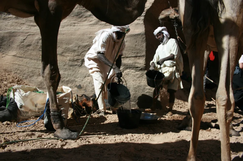 Emi Koussi : a fascinating encounter with the nomads of the Sahel - SVS Tchad