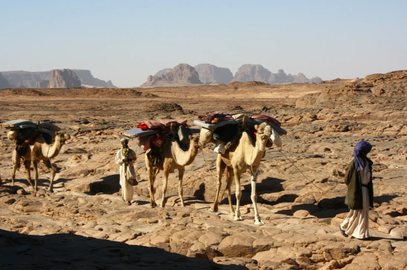 Emi Koussi - Camel treks - Trips to Chad with SVS Chad