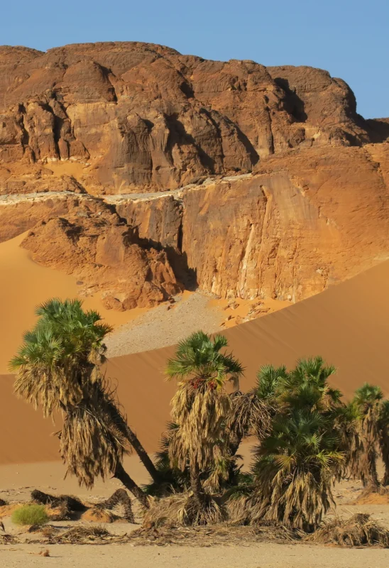 Emi Koussi - SVS Tchad - Sahara desert