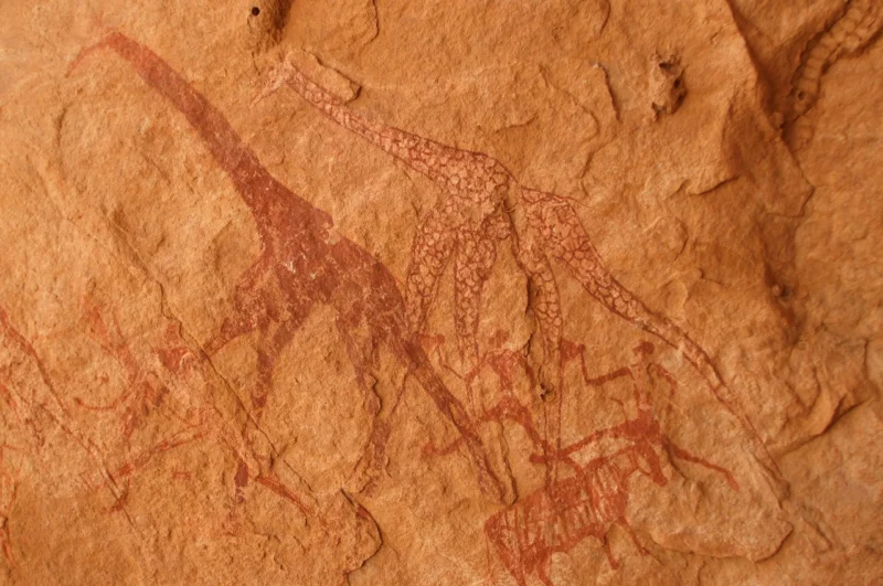 Rock art Chad - SVS Tchad - Emi Koussi