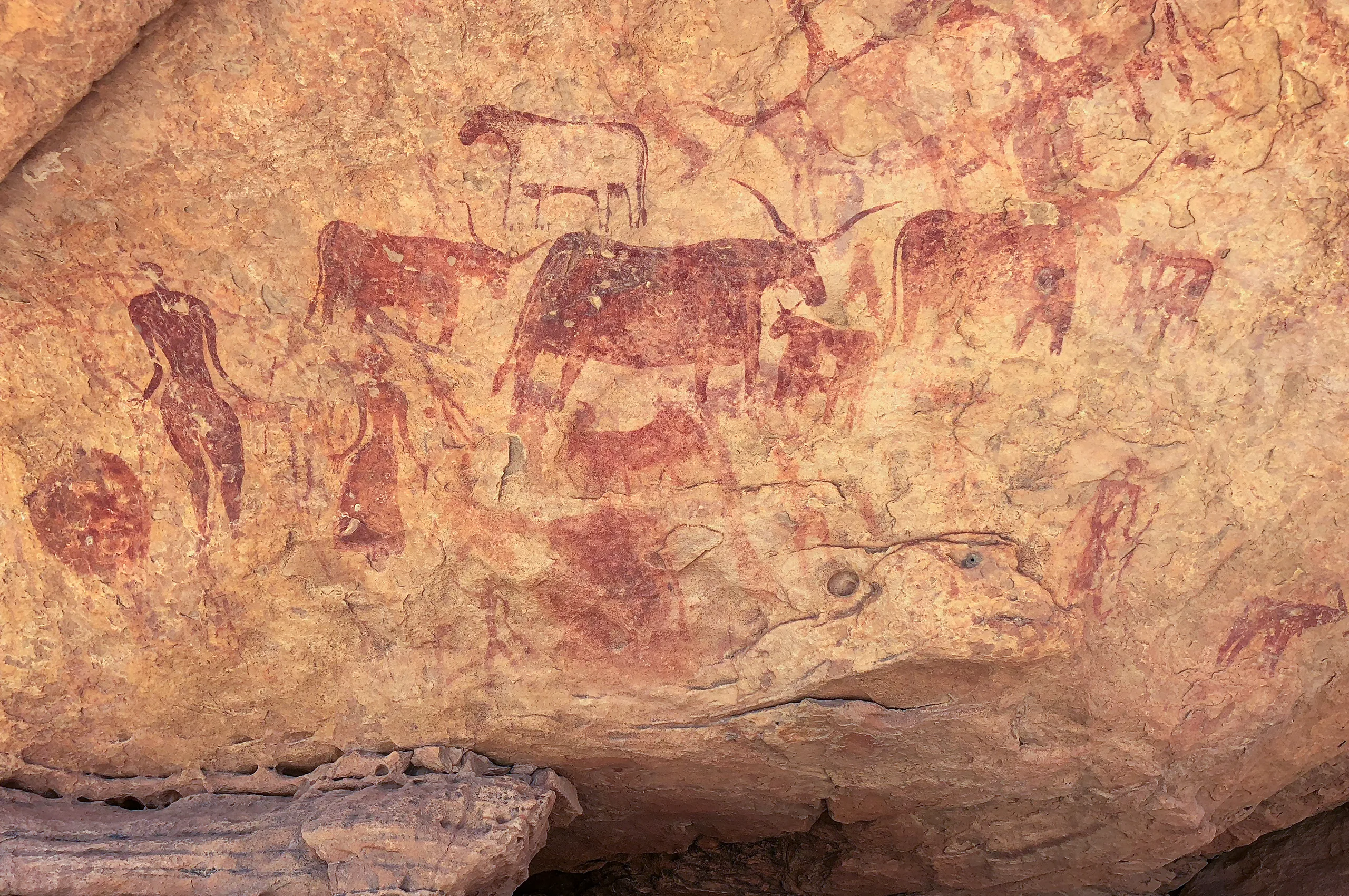 Rock Art - Trips to Chad with SVS Tchad