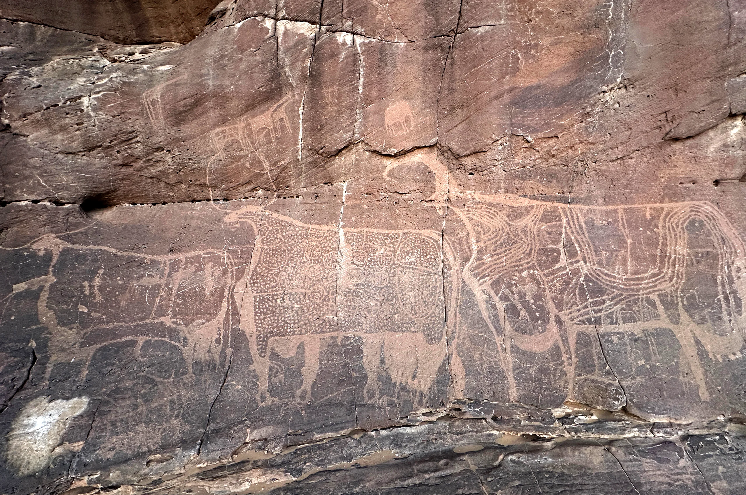 Rock art - Tougoui - SVS Tchad