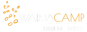 Warda Camp - Ennedi, Tchad